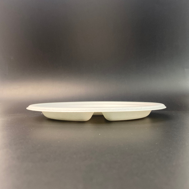 Biodegradable Sugarcane Disposable Paper 9 Inch 3 Division Plate