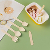 Healthy Biodegradable Disposable Wooden Spoon Customized Shape Wooden Spoons