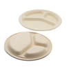 High Selling Disposable 10 Inch Round Baggasse Plate