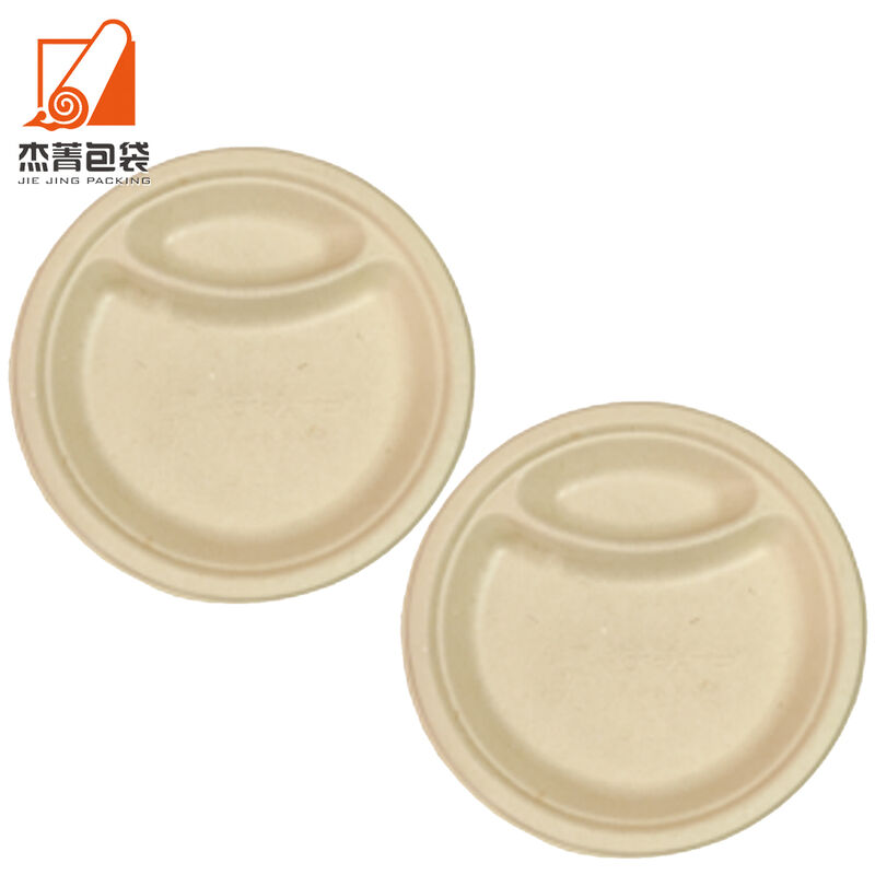 9In Disposable Paper Plates, Biodegradable Plates With 2 Compartments, Dinner And Lunch Plates, Paper Plates For BBQ,