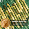 100% Biodegradable Eco Friendly Compostable Pla Non-plastic Degradable Drinking Bagasse Sugar Cane Straw