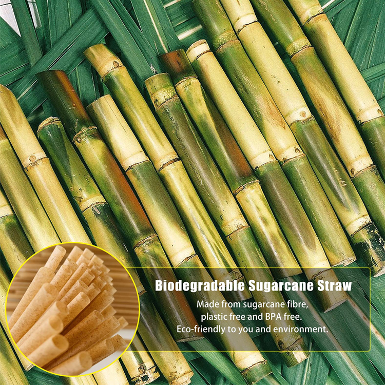 100% Biodegradable Eco Friendly Compostable Pla Non-plastic Degradable Drinking Bagasse Sugar Cane Straw