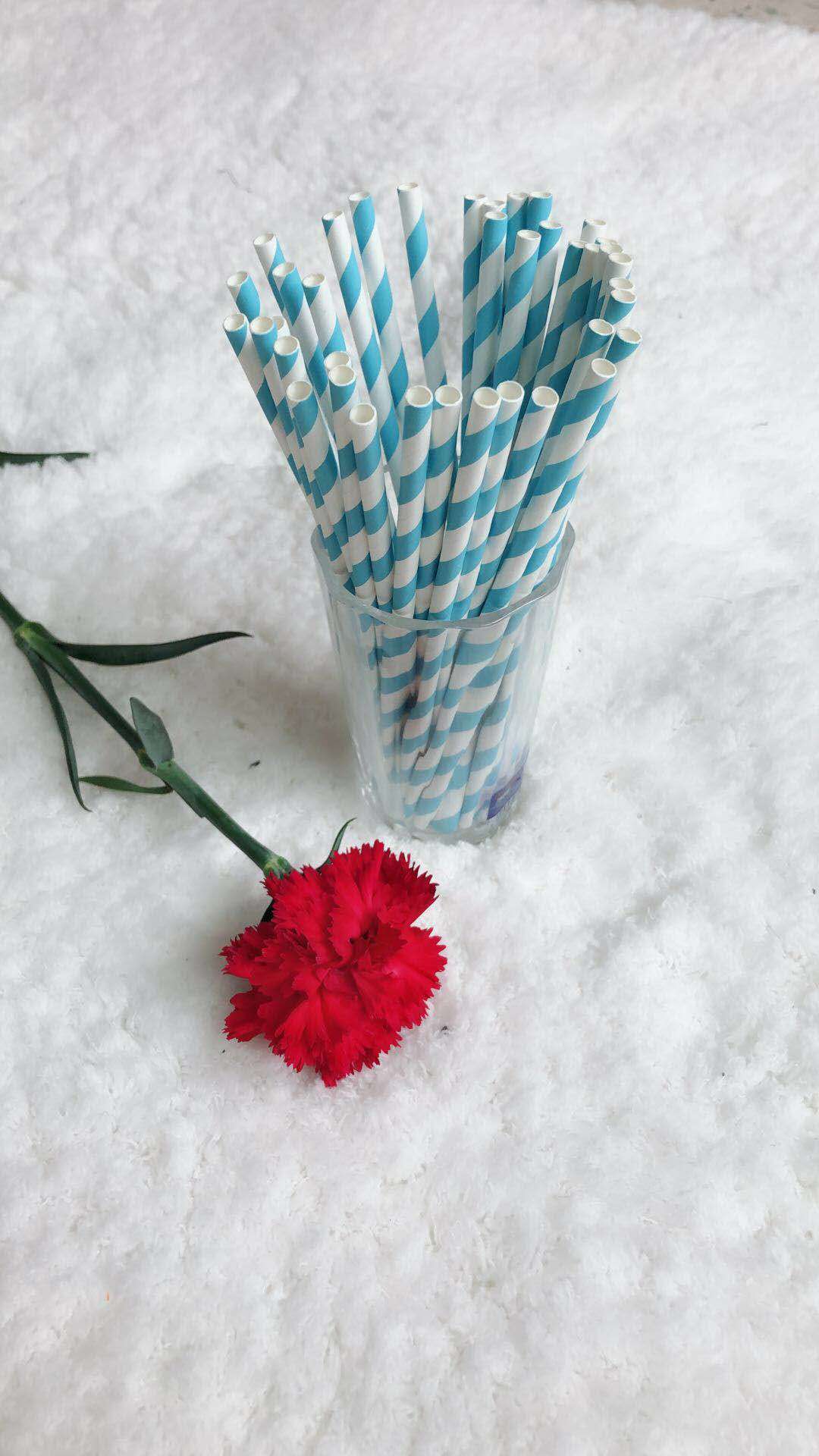 FDA Approved Biodegradable Eco-Friendly Paper Straws Drinking Straws