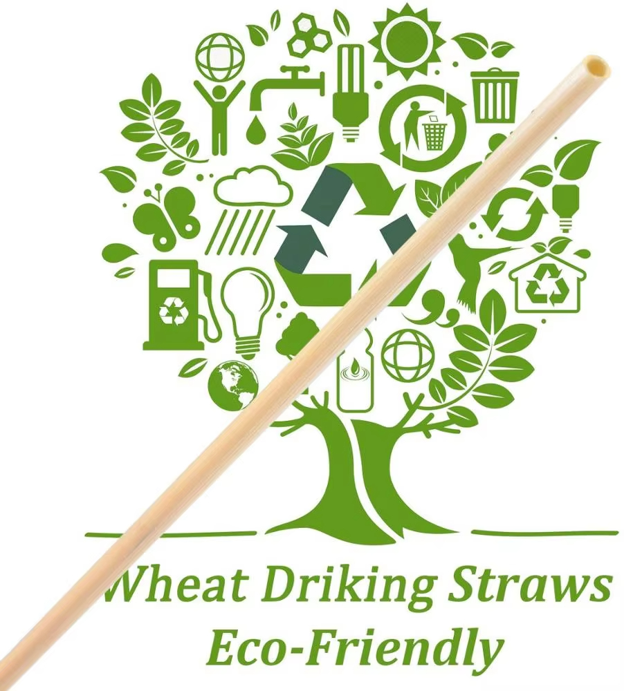 New arrival high quality hot selling premium eco-friendly nature wheat drinking straw set