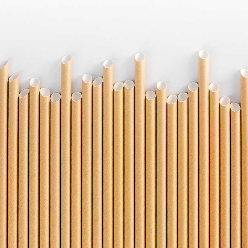 Paper Straw