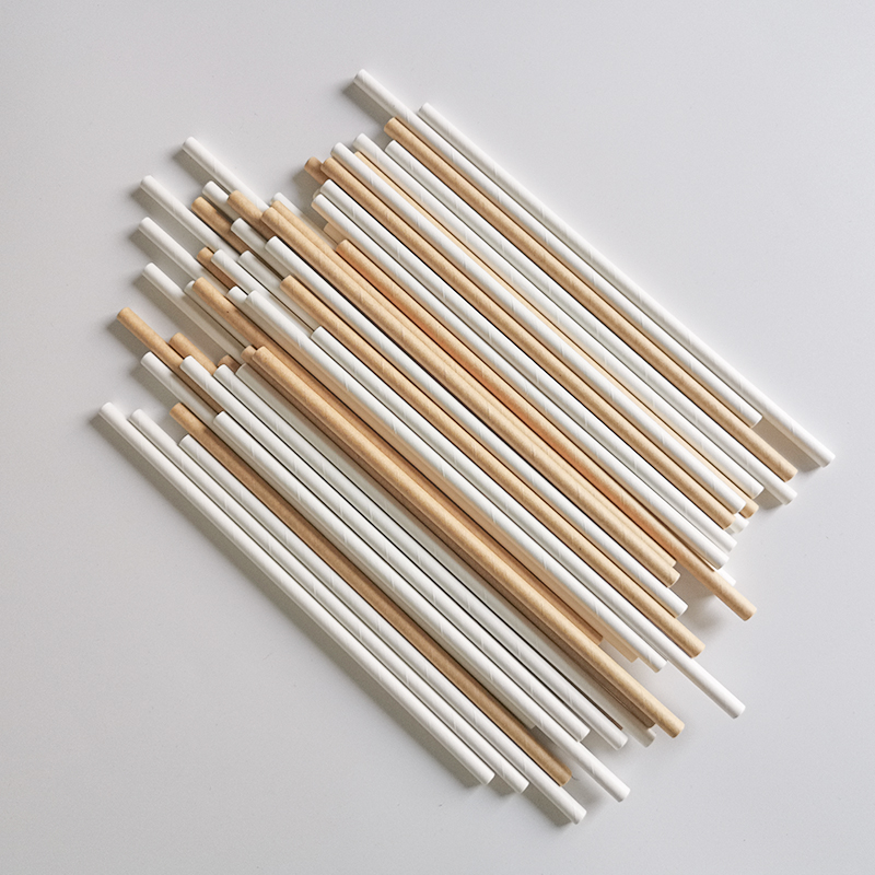 Paper Straw