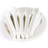 Paper Cutlery