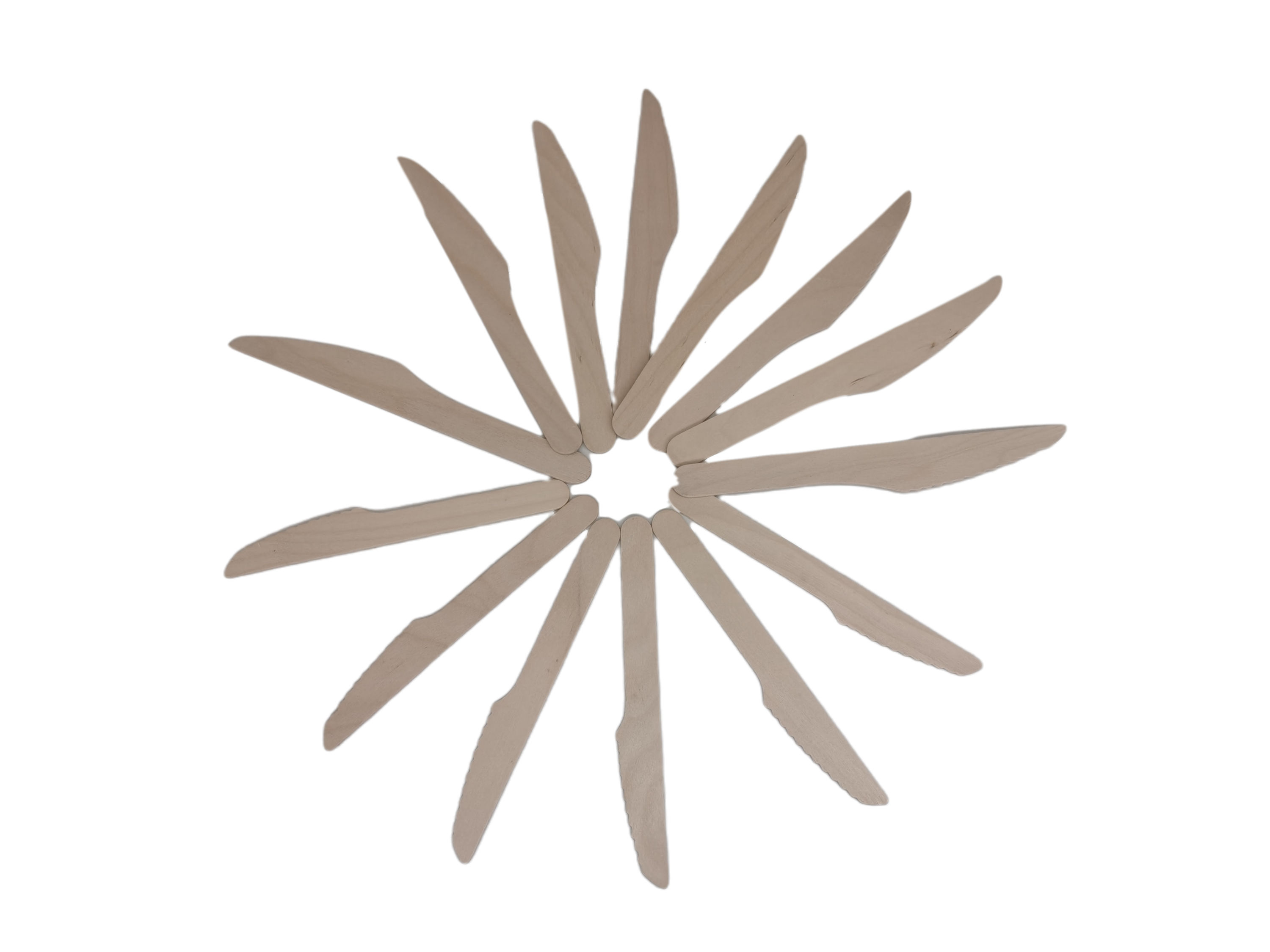 Disposable fork spoon knife plates paper wooden bamboo utensils dinnerware cutlery tableware set