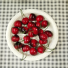 8 inch disposable dinnerware plate corn starch eco friendly single use white round plates disposable food serving plate