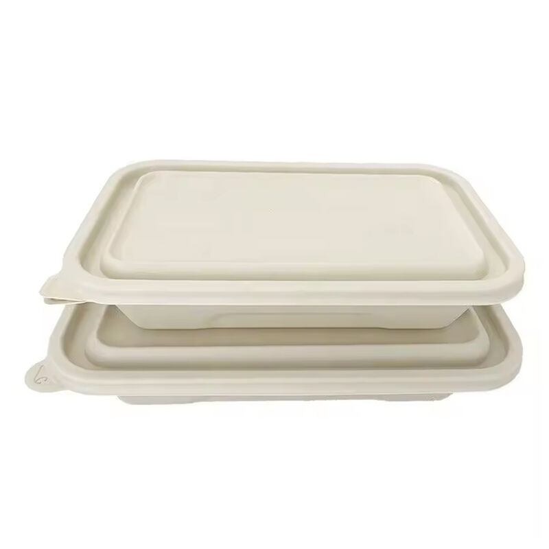 Wholesale compostable, eco-friendly and biodegradable corn starch food packing box with lid