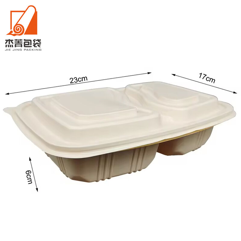 Disposable Packaging for food Lunch box with lid Biodegradable food box 2 compartment food box