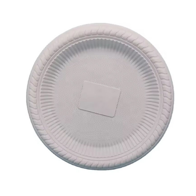 10" inch dia250mm round plate 100% biodegradable disposable eco friendly fast food cornstarch plate