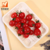 Wholesale Biodegradable Ecofriendly Food Grade Corn Starch Based BBQ Picnic Meat Trays For Outdoors Party
