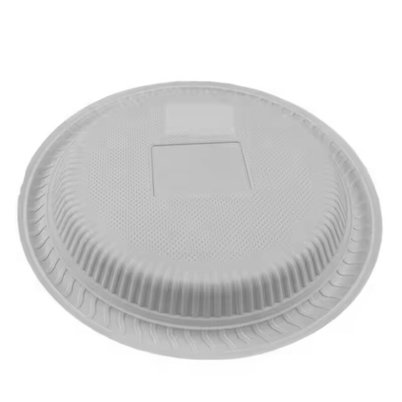 Custom LOGO 11 inch Disposable Plates for Parties Dishes Airline Tableware Dinnerware Sets