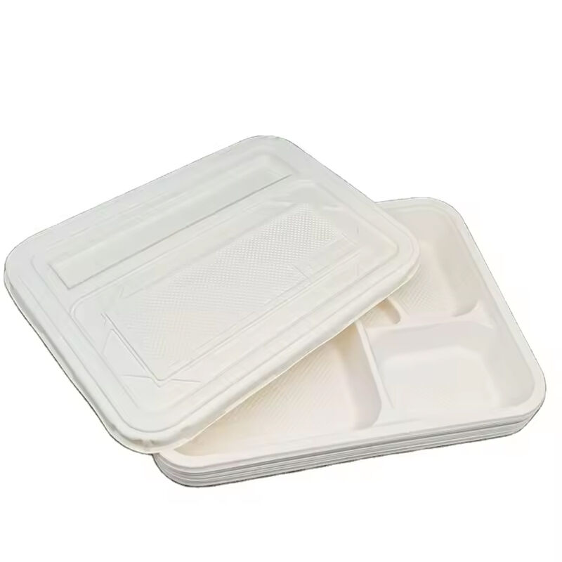 Factory Supplier Price Eco Friendly Disposable degradable eco-friendly cornstarch food tray lid
