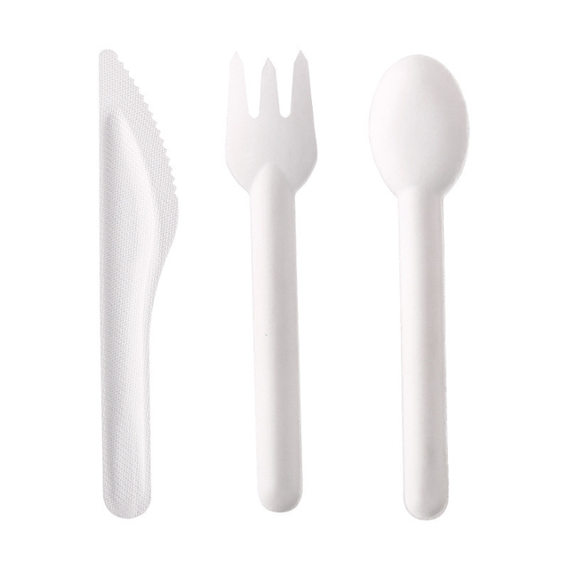Wholesale Compostable Biodegradable Disposable Bagasse Sugarcane Pulp Cutlery Tableware Knife Fork Spoon