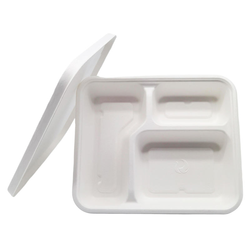 Biologisch abbaubares Zuckerrohr Bagasse Einweg-Krankenhaus schule 5-Fach-Lunch-Tablett