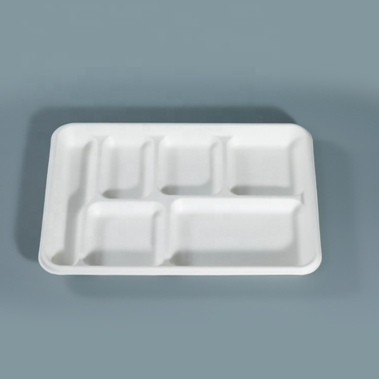 Sugarcane Bagasse Pulp 6 Compartments Biodegradable Food Trays