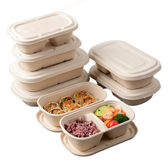 Einweg 750ml Rechteck Zuckerrohr 2-fach Lebensmittel behälter Biologisch abbaubare Bagasse-Lebensmittel box mit Deckel