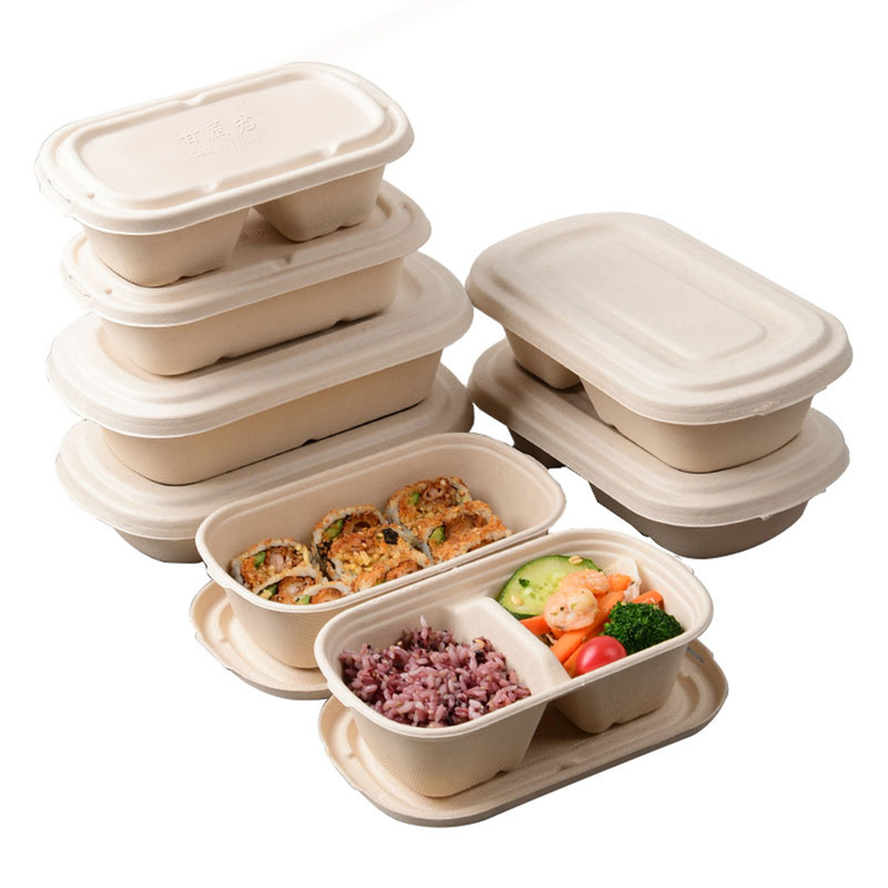 Einweg 750ml Rechteck Zuckerrohr 2-fach Lebensmittel behälter Biologisch abbaubare Bagasse-Lebensmittel box mit Deckel