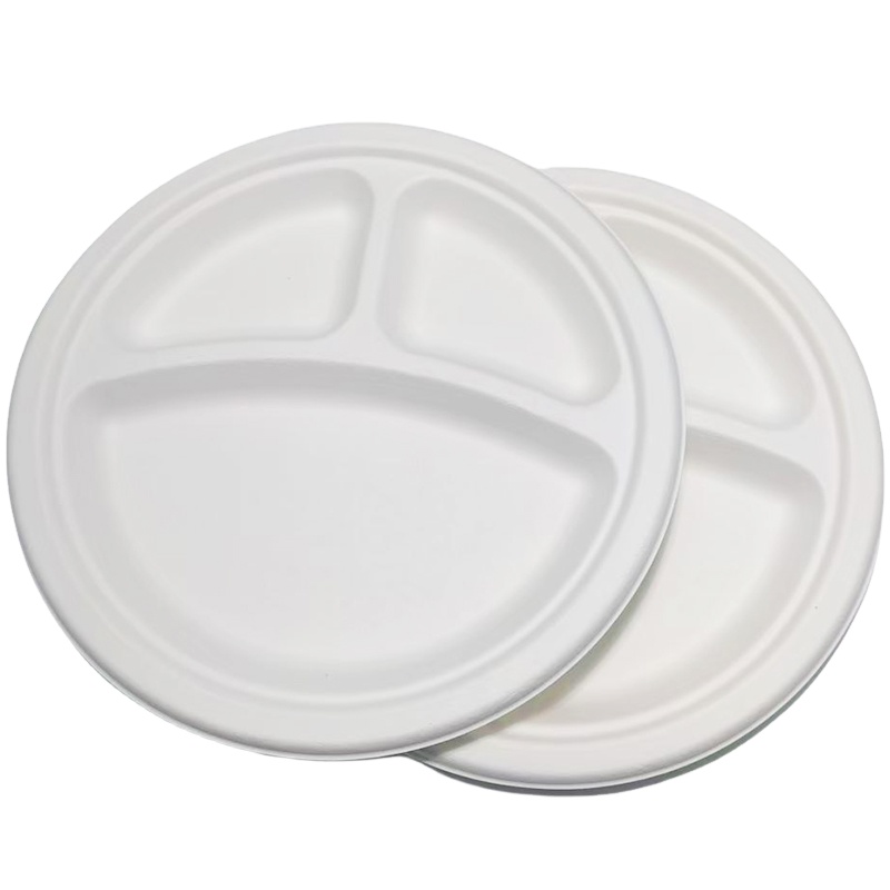 Einweg platte Biologisch abbaubares Geschirr Papier geschirr Zuckerrohr Bagasse Platte Zuckerrohr platten