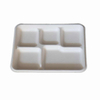 Disposable Bagasse Biodegradable Sugarcane Compartment Disposable Fast Food Tableware Tray