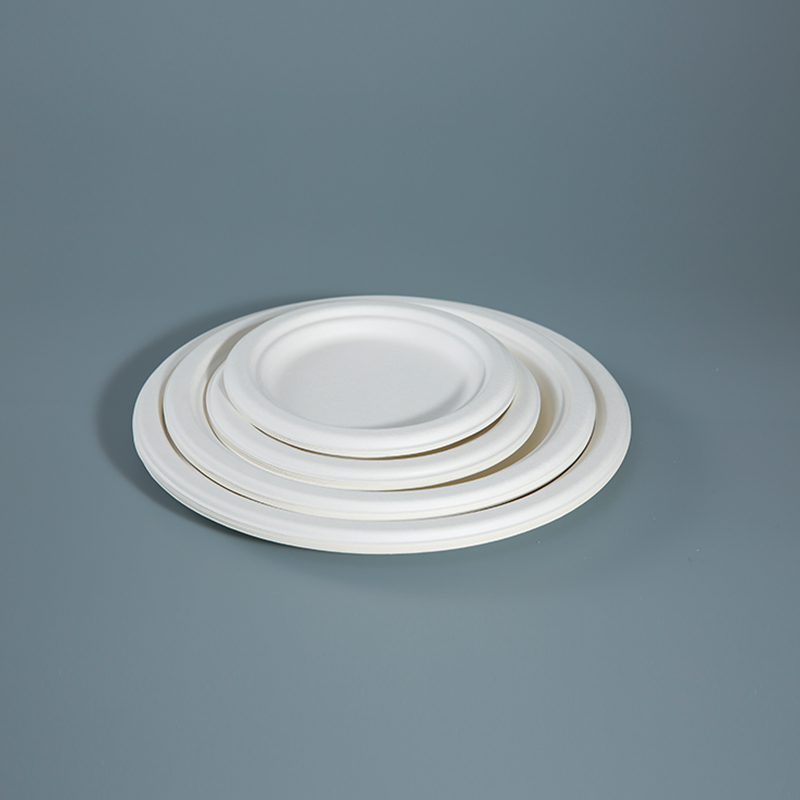Cornstarch Biobased Eco Friendly Serving Plates Perfect Dinnerware Disposable Plates