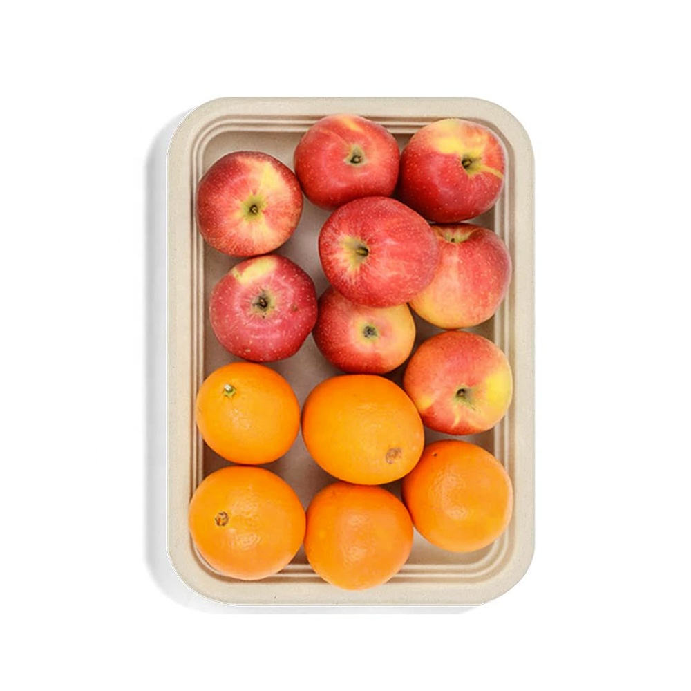 Individuelles rechteckiges 14-zoll biologisch abbaubares einweg-Tischgeschirr schwerlast-Bagasse Zuckerrohr-Pulpe-Lebensmittel-Tablett