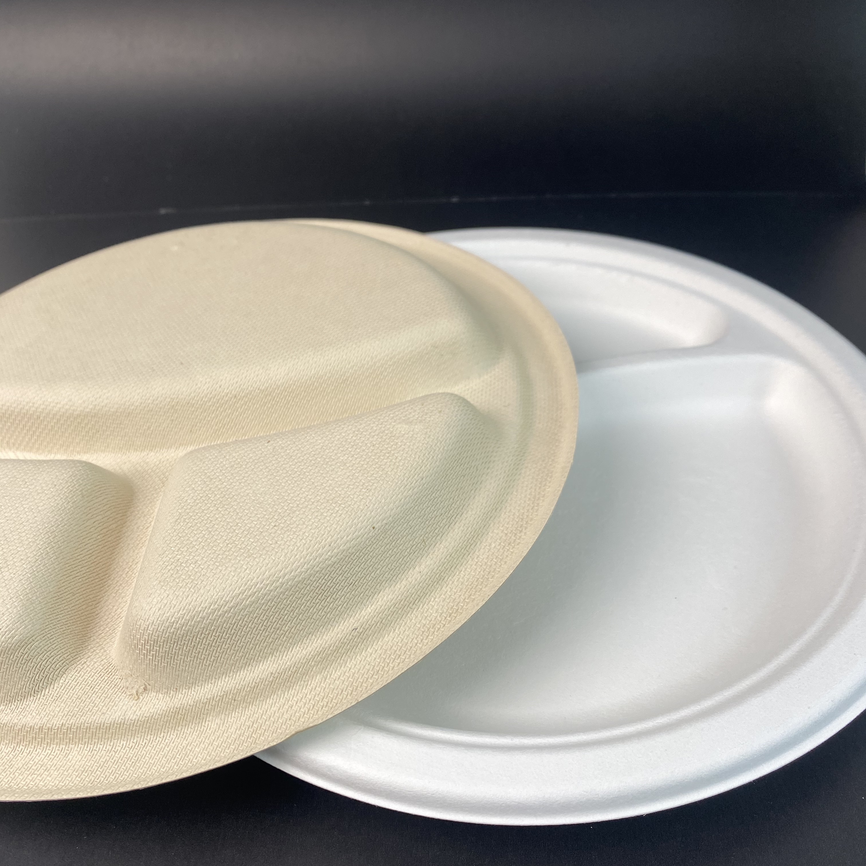 Biodegradable Sugarcane Disposable Paper 9 Inch 3 Division Plate