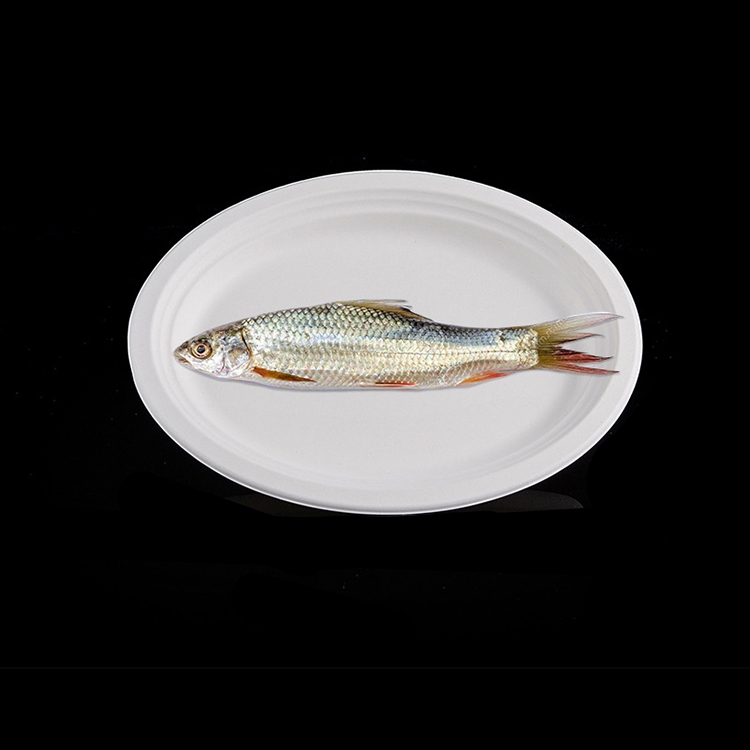 100% Eco-Friendly Sugarcane Bagasse Oval Plate Tray