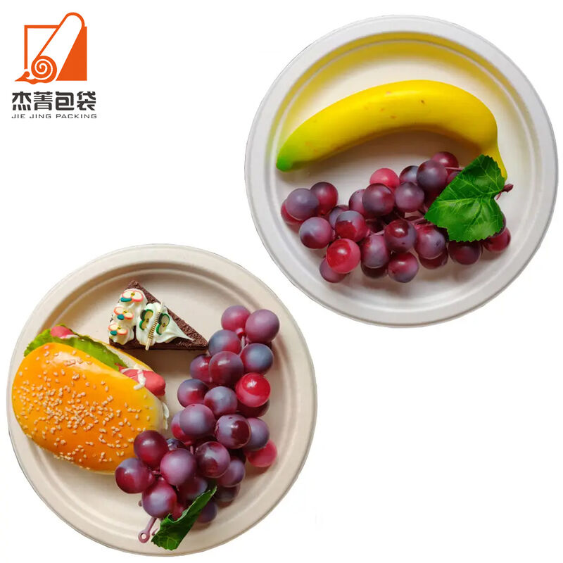 Sugar Cane Pulp Environmentally Friendly Disposable Biodegradable Compostable Round Dinner Plate