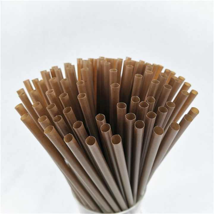 Compostable PLA Straw Coffee Grounds Drinking for Beverages Party Use Milk Tea High Temperature Resistant Independent Packaging