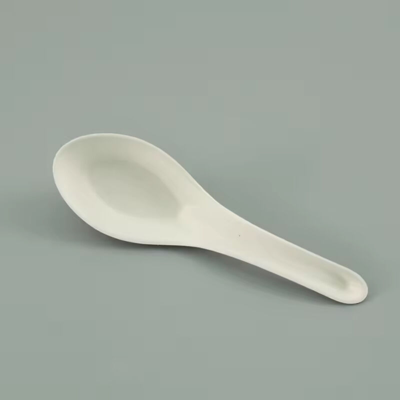 Eco-Friendly Bio-Based Heavy Duty Takeaway Plastic Dinnerware Reusable Corn Starch Soup Spoons Disposable Chinese Spoon