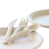 Biodegradable Compostable Sugarcane Bagasse Paper Flatware Fiber Pulp Fork Knife Spoon Cutlery