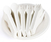 Factory Price Hot Sale Eco-friendly Disposable Biodegradable Cutlery For Parties