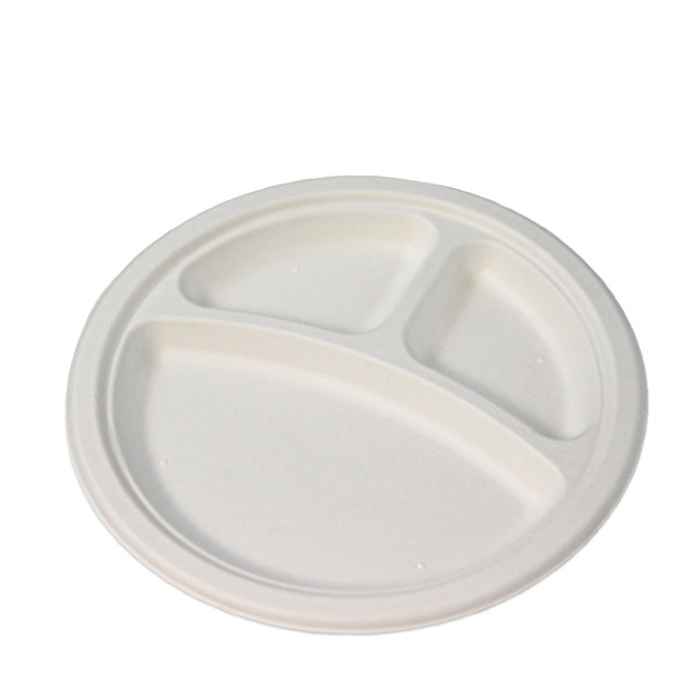 Round dinner plate Baggasse bowl and container