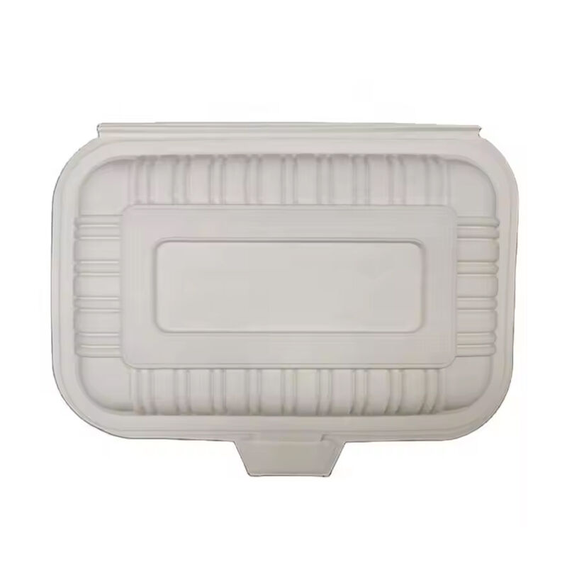 Bio-Based 6.5 Inch Takeaway Biodegradable Cornstarch Catering Lunch Food To Go Box Container Disposable Food Takeaway Packaging