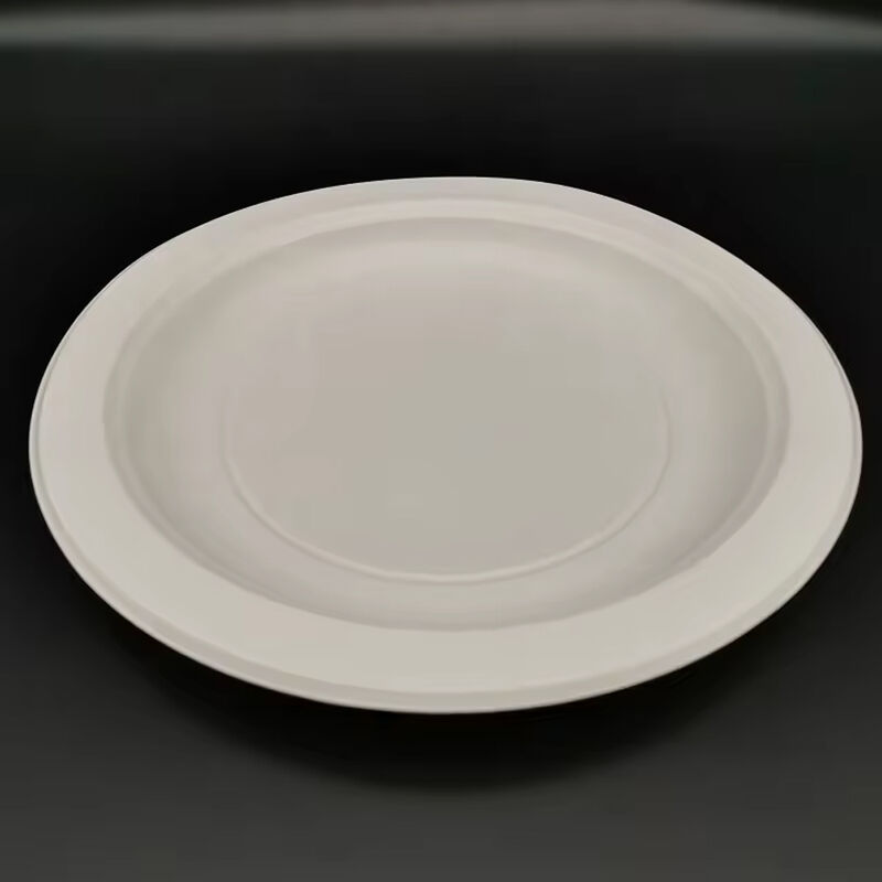 BBQ Party Events Wedding Disposable Tableware Food Plate Biodegradable Dinnerware Corn Starch Dinner Plate