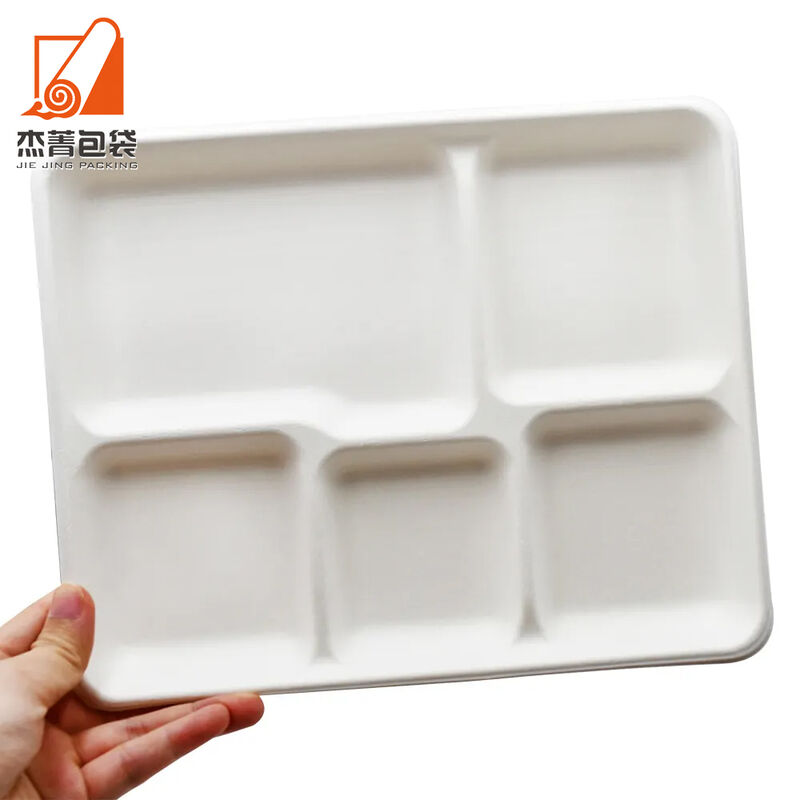 Wholesale Disposable White 5 Compartment Rectangular Sugarcane Pulp Bagasse Oval Tray