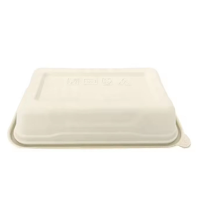 Wholesale compostable, eco-friendly and biodegradable corn starch food packing box with lid