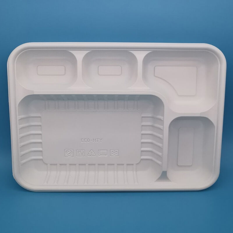 Rectangular Divided One Time Lunch Box 5 Compartment Corn Starch Disposable Degradable Meal Prep Lunch Box Food Container