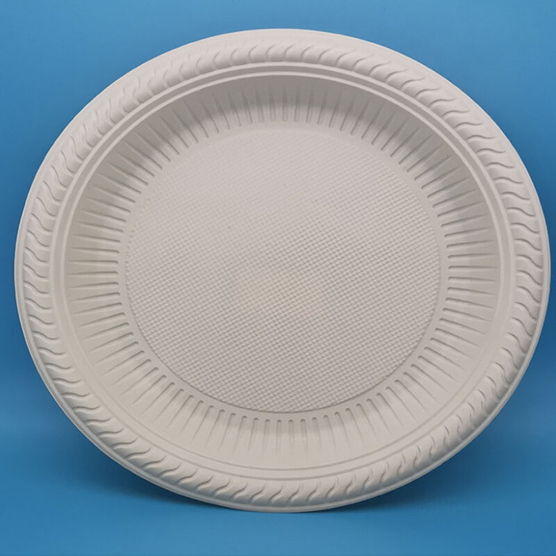 Custom LOGO 11 inch Disposable Plates for Parties Dishes Airline Tableware Dinnerware Sets