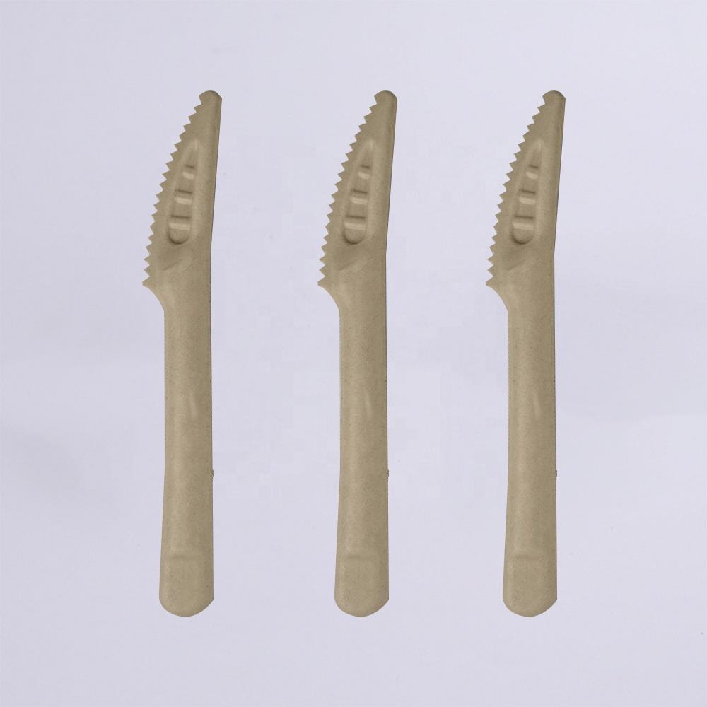 2024 Disposable corn biodegradable tableware Paper tableware corn starch tableware