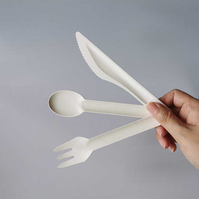 Wholesale Compostable Biodegradable Disposable Bagasse Sugarcane Pulp Cutlery Tableware Knife Fork Spoon
