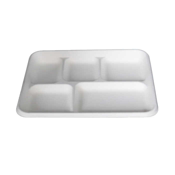 Biodegradable Sugarcane Bagasse Lunch Box