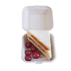 Eco-Friendly 9*6\" Disposable Sugarcane Biodegradable Lunch Box Container 2 Compartment Bagasse Clamshell Sustainable