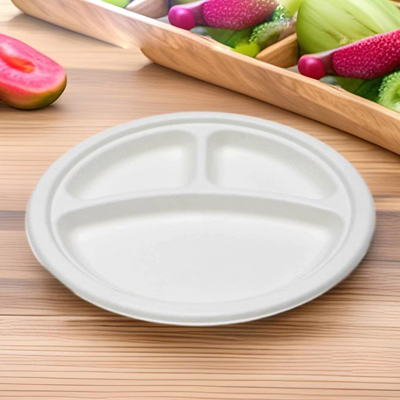 Profession elle Herstellung Umwelt freundliches 10-Zoll-Zuckerrohr-Bagasse-Geschirr mit 3 Fächern Biologisch abbaubar