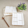 Cheap Wholesale Sugarcane Bagasse Food Trays Biodegradable 5 Compartment Deep Tray with Lid