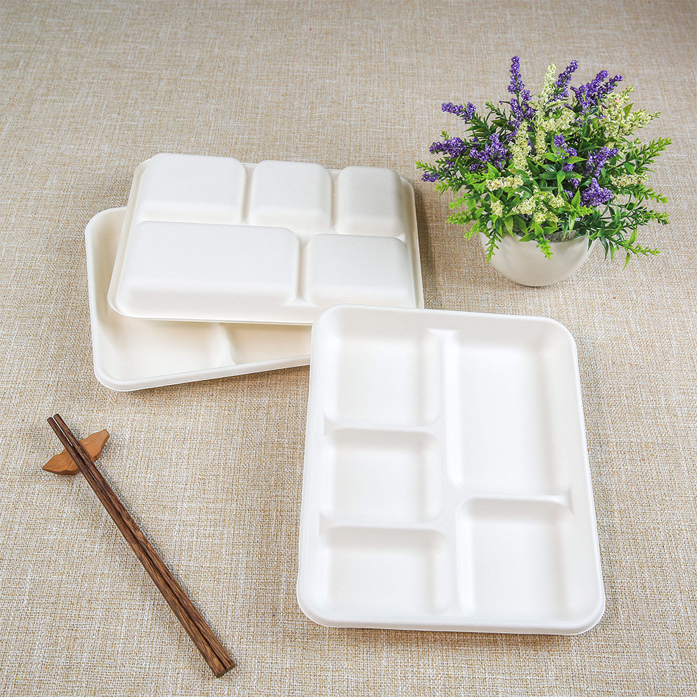 Cheap Wholesale Sugarcane Bagasse Food Trays Biodegradable 5 Compartment Deep Tray with Lid