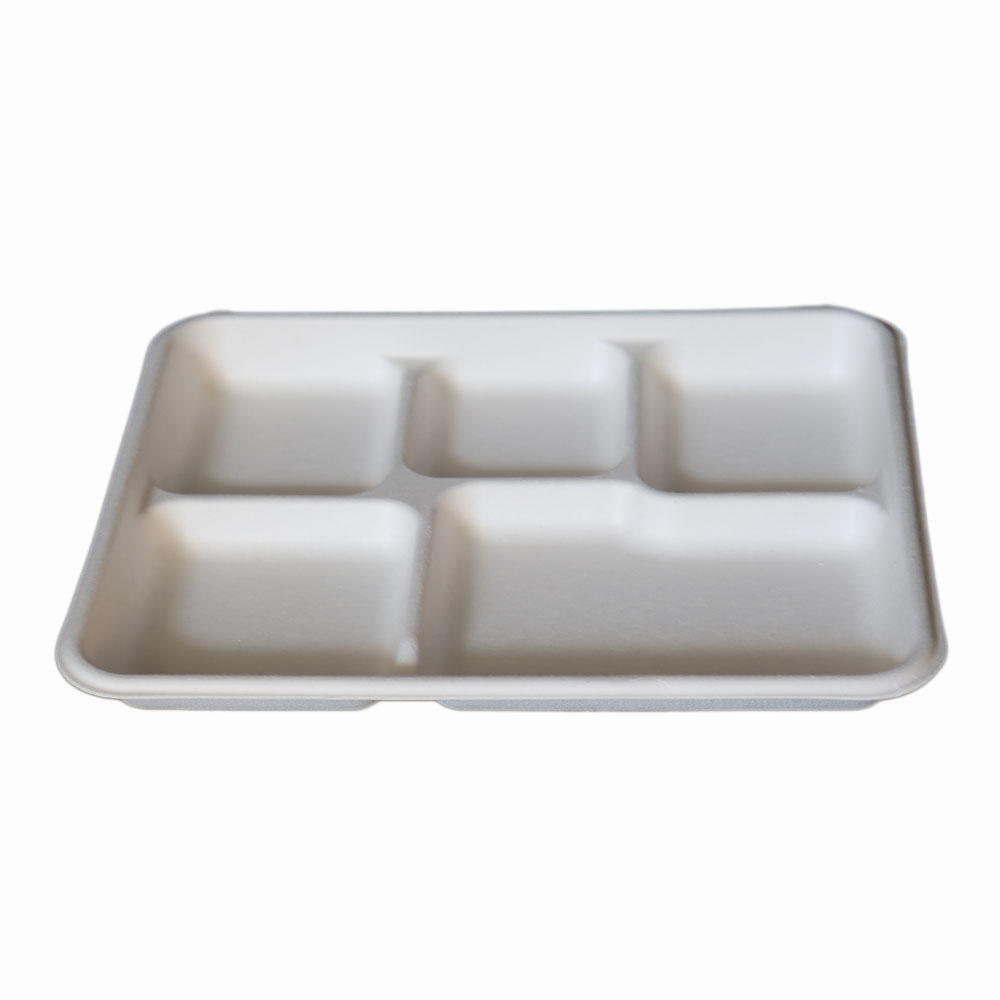 Disposable Bagasse Biodegradable Sugarcane Compartment Disposable Fast Food Tableware Tray